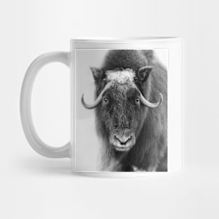 Muskox in winter Mug